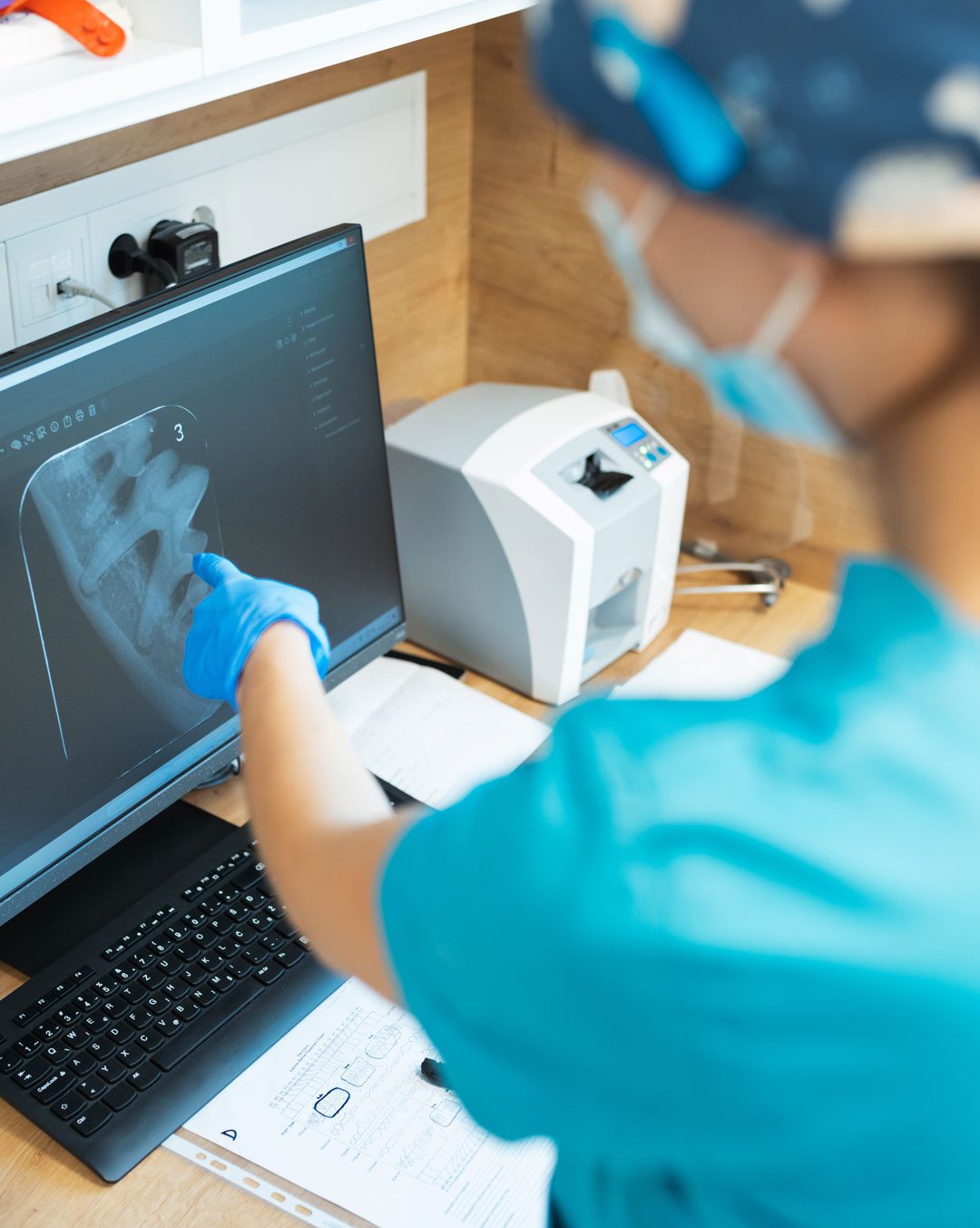 female veterinarian pointing at x-ray of dog's teeth