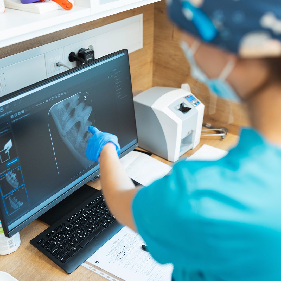 veterinarian wearing surgical scrubs and mask and gloves pointing at dental x-ray on computer screen