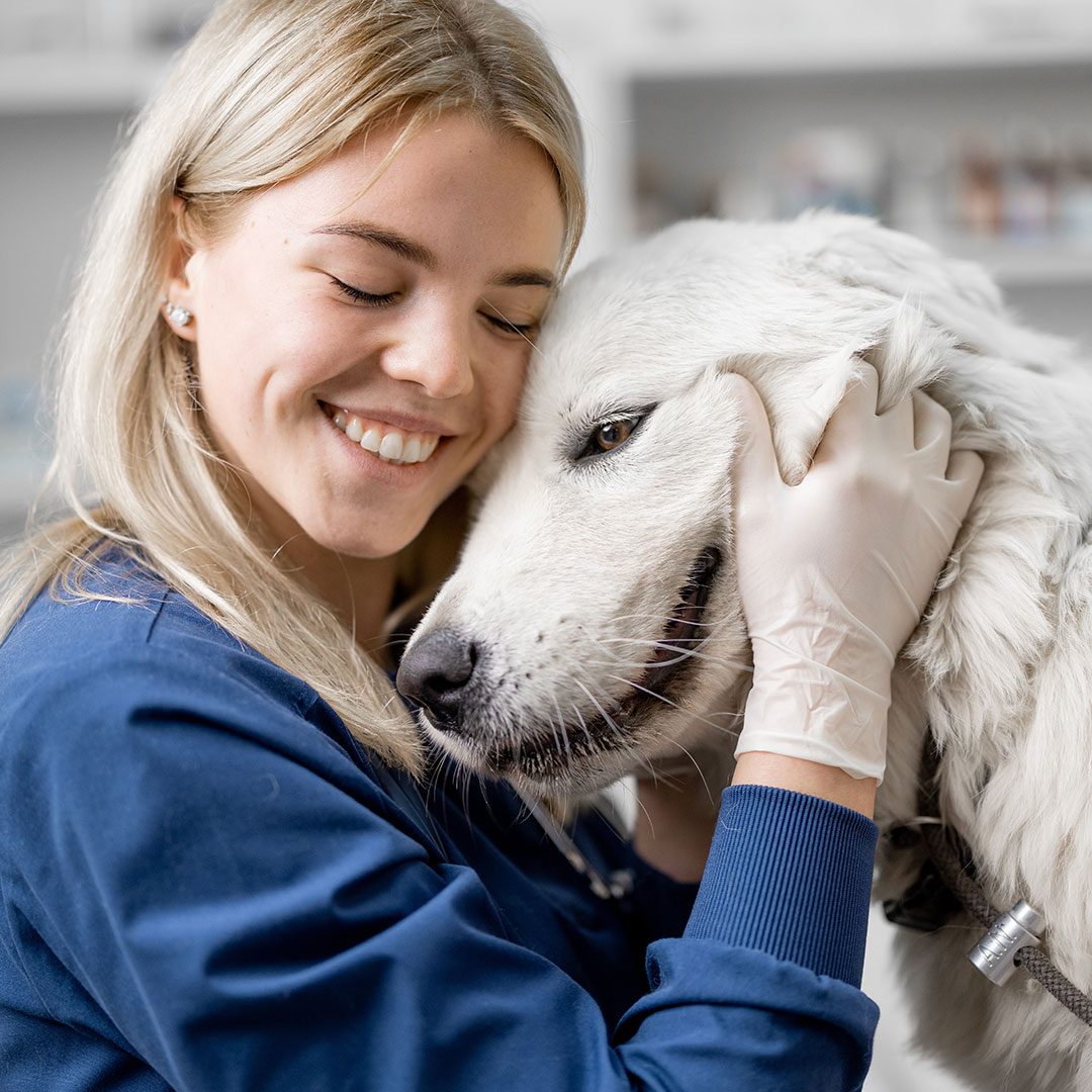happy female veterinarian hugging large white dog in exam room